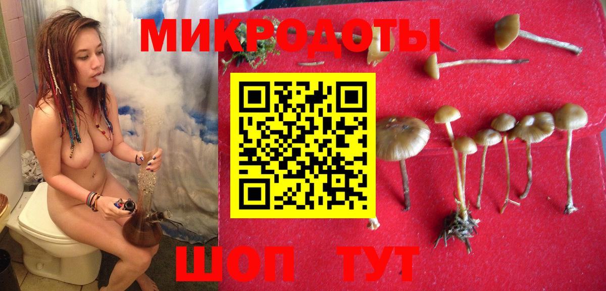 Псилоцибиновые грибы мицелий  Вход с VPN  Галлюциногенные грибы мухоморы  Егорьевск 