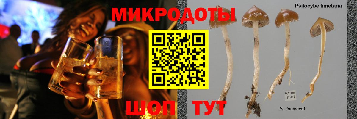 Псилоцибиновые грибы прущие грибы Егорьевск